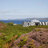 McGinlay_Bell-T3U2VWBRP3VGVLFT3U2VWBRP3VGVLF_McGinlay_Bell_Island_Retreat_Jack_Hobhouse_004