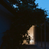 Neutral_Projects-26JD8X4NUTRSPSF26JD8X4NUTRSPSF_Interior_glowing_in_the_background_through_the_foliage
