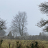 Patrick_Bradley_Architect-C1QOVU4KFITWJ7UC1QOVU4KFITWJ7U_barneys_ruins_existing_01