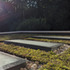PORTER_ROBSON-UB20NSGUHPAS87QUB20NSGUHPAS87Q_MAR_GreenRoof
