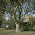 RDA_Architects-8HQE21H2LF8DZHN8HQE21H2LF8DZHN_RDA_Architects_Timothy_Soar_6