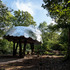 Invisible_Studio_Pearce-D07LO5PPDT6FT66D07LO5PPDT6FT66_20231013_woodworking_shelter_0238