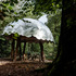 Invisible_Studio_Pearce-D07LO5PPDT6FT66D07LO5PPDT6FT66_20231013_woodworking_shelter_0341