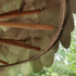 Invisible_Studio_Pearce-D07LO5PPDT6FT66D07LO5PPDT6FT66_20231013_woodworking_shelter_0285
