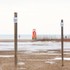 Nick_Green_Greig_Pirrie-2RJRM18NYJDKJKP2RJRM18NYJDKJKP_Delighthouse_reeds_credit_Greig_Pirrie