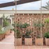 R5IFZRAELJ22P9J_AndreaRuffilliArchitectsArchitectArchitectureModernRefurbishmentRenovationConversionExtensionBespokeCourtyardRenderHouseMediterreneanBarcelonaConservation_AreaLandscapePartywallSustainableDesignSpain_02