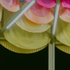AYGWHW8OAKSRNSV_Fisher_Cheng_Pavilion_On_The_Green_Edmonton_Green_LED_Strip_Lights_at_night_Lorenzo_Zandri__2024-20
