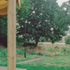 AYGWHW8OAKSRNSV_Fisher_Cheng_Pavilion_On_The_Green_Edmonton_Enfield_Play_Stands_Lorenzo_Zandri__2024-4