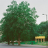 AYGWHW8OAKSRNSV_Fisher_Cheng_Pavilion_On_The_Green_Edmonton_Green_Enfield_Lorenzo_Zandri__2024-1