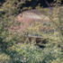 2MB RBG Kew Pumphouse - Hugh Broughton Architects - Photograph©Dirk Lindner (02)