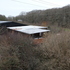 89KC7NTLERUNK24_LWS_roof_setting