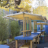 LMX2R65QVK0F1I7_9_DulwichWoodOutdoorClassroom_MeganTaylor