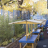 LMX2R65QVK0F1I7_10_DulwichWoodOutdoorClassroom_MeganTaylor