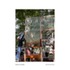 QCILXWEDWRY7OMV_sp_4_Martha_Minton