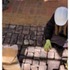 QCILXWEDWRY7OMV_sp_3_Martha_Minton