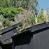 I1NFLITF14WSBNS_DSC_5075