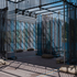 W8OLGEBEE5VCUK4_Copy_of_DRIFT_OGU_Stranmillis_Joe_Laverty_40