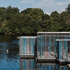 W8OLGEBEE5VCUK4_Copy_of_DRIFT_OGU_Stranmillis_Daytime_Joe_Laverty