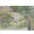 IN8XSMNS6MIDXUS_Moss_Choumert_Road_Concept-Visual