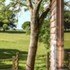 ZDEV3PWVT9ABRK2_Writers_Retreat_-_Richmond_Bell_Architects_4