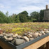 6COFY7N1W2AUTAH_4-_Sedum_roof_-_detail