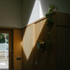 7IQAAJHAPHZDGHU_Morlanow_06_Internal_Wood_Panelling_Alex_Cox
