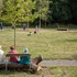 6UV2W48IIVJASE9_AJ_Small_Project_2025_HE_Riverside_Park__Luke_ODonovan_mid_res_3_of_10