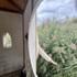 HQV7DZJ5MH89T5I_IMG_7720