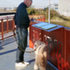 8YG127GEZWWBQ5U_Riverside_Belvedere_P05_Dogwalker_at_Interpretation_-_Photo_by_Untitled_Practice