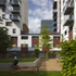 Courtyard garden