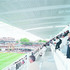 Enjoying the match from the upper terrace