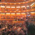 Audience fill the auditorium prior to a performance