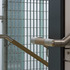 Handrail detail