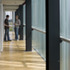 Timber, glass and steel structure