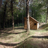 Forest view
