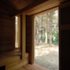 Interior forest view