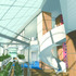 Central interior visual