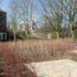 The fine lines of silver birch helped inspire the character of landscape architect Gross.Max