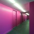 Bold colours bring vibrancy to the upper floors