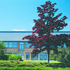 The building is partly screened by generous planting including some mature trees