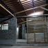 Internal shot