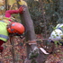Students tree felling at the Hayes 