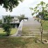 Garden merging into roof 