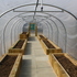 The poly-tunnel