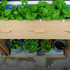 Outdoor planter closeup