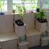 Indoor planter in living area