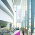 The new double skin of the extension draws natural light into the library