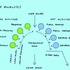 Brief analysis