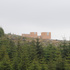 View of building from across forest
