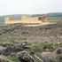 View from across forest land
